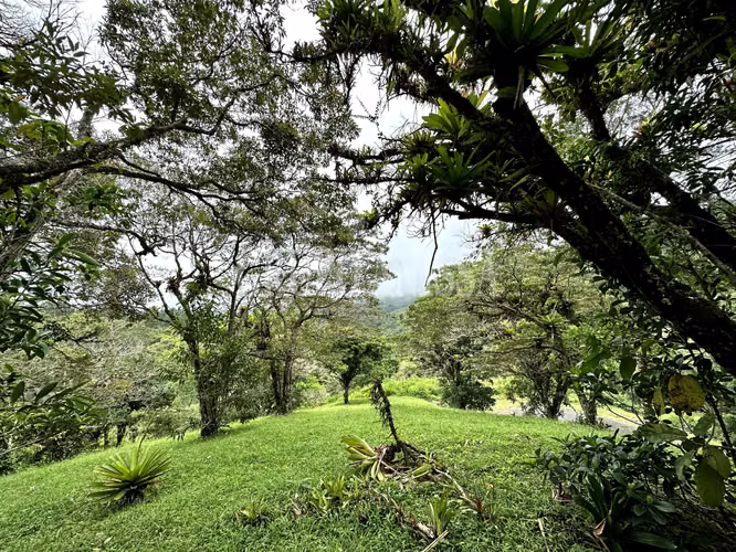 Se Vende Hermoso Terreno en Zona Alta de Altos del Maria - Imagen 10