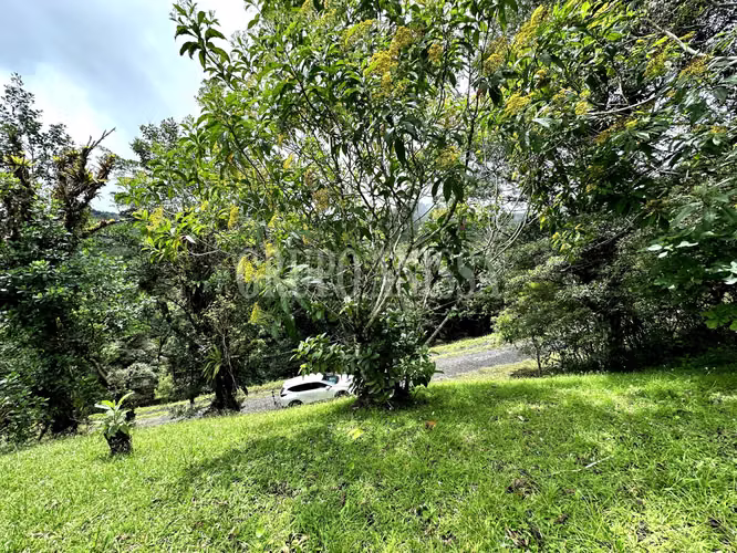 Se Vende Hermoso Terreno en Zona Alta de Altos del Maria - Imagen 6