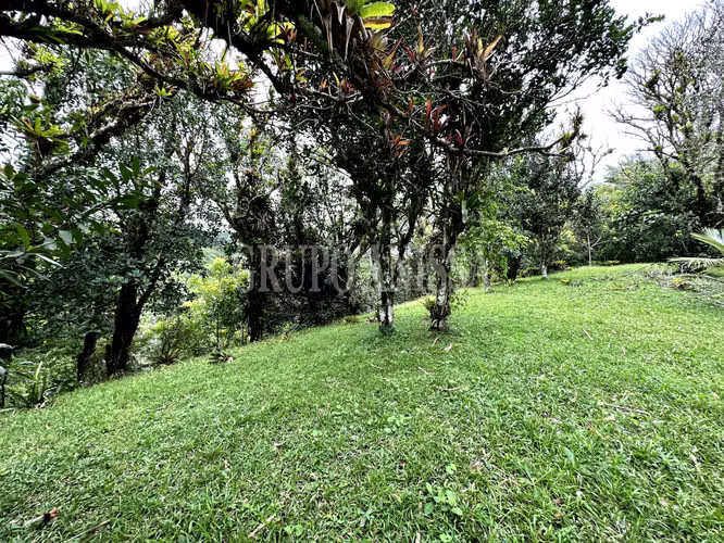 Se Vende Hermoso Terreno en Zona Alta de Altos del Maria - Imagen 7