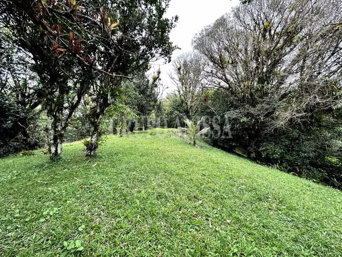 Se Vende Hermoso Terreno en Zona Alta de Altos del Maria - Imagen 8