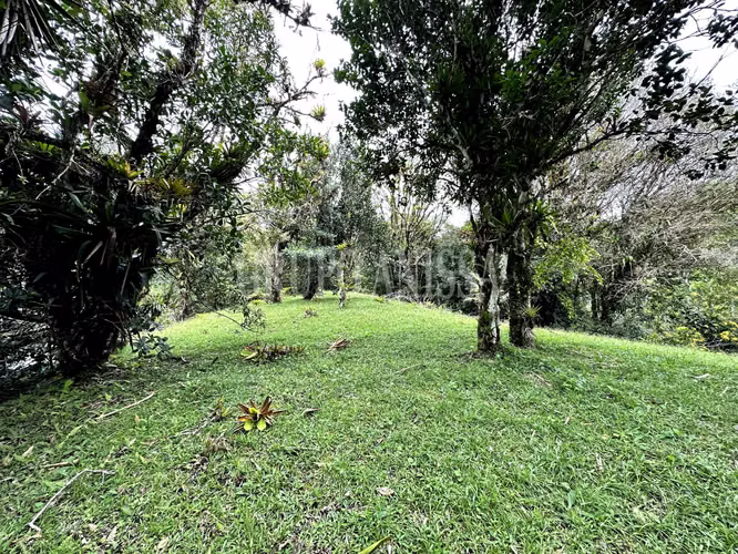 Se Vende Hermoso Terreno en Zona Alta de Altos del Maria - Imagen 11