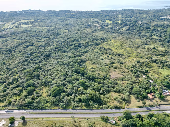 TERRENO FINCA SAN JOSÉ VÍA INTERAMERICANA / PANAMERICANA EN VENTA