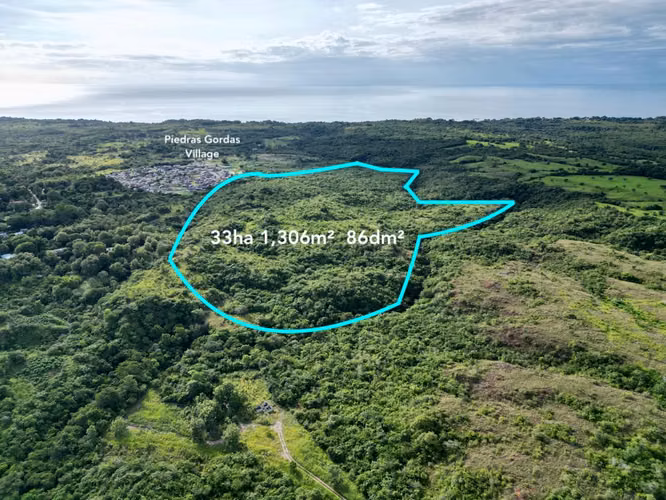 FARM IN FAT STONES SAN CARLOS FOR SALE