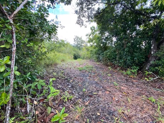 TERRENO FINCA EN PIEDRAS GORDAS SAN CARLOS EN VENTA