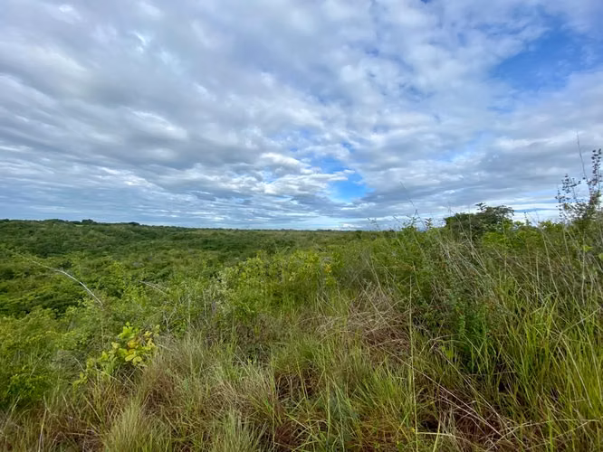 TERRENO FINCA EN PIEDRAS GORDAS SAN CARLOS EN VENTA - Imagen 8