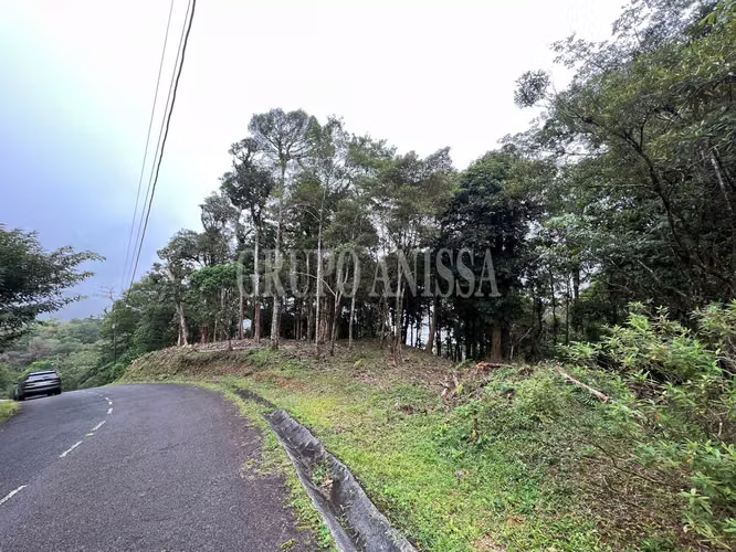 It sells Beautiful Land in Alta La Rioca