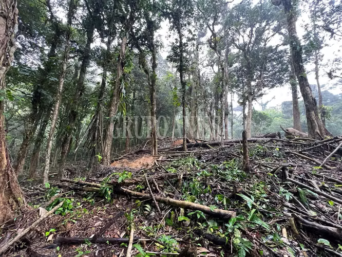 Se Vende Hermoso Terreno en Zona Alta La Rioca