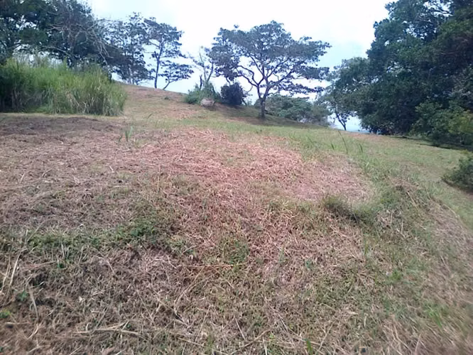 Venta de Terreno en El Valle de Antón, 2 ha.