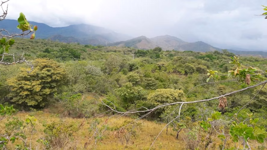 Terreno en Venta - La Mesa de San Martin