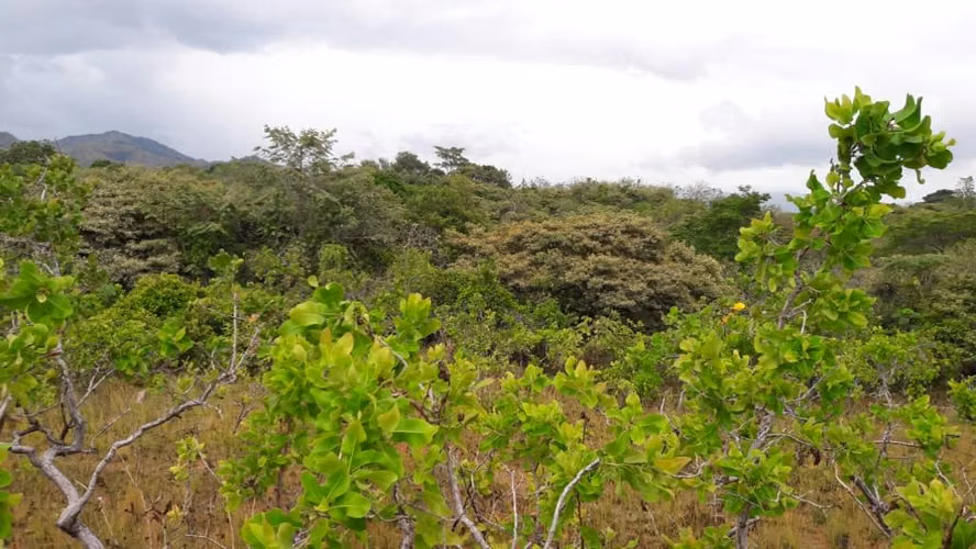 Terreno en Venta - La Mesa de San Martin