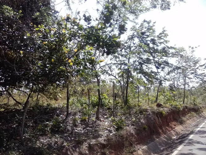 Terreno en Venta - La Mesa de San Martin