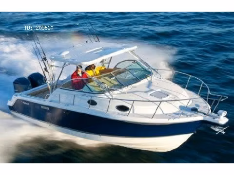 AVISTAMIENTOS DE BALLENAS, YATES,BARCOS DE EVENTOS/BARCAZAS CARGA
