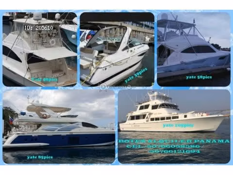 AVISTAMIENTOS DE BALLENAS, YATES,BARCOS DE EVENTOS/BARCAZAS CARGA