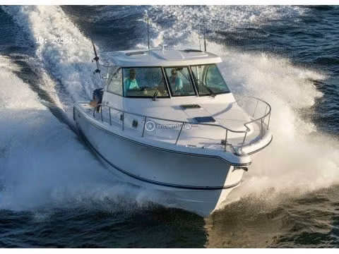 AVISTAMIENTOS DE BALLENAS, YATES,BARCOS DE EVENTOS/BARCAZAS CARGA
