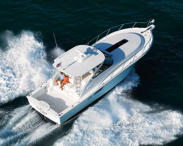 AVISTAMIENTOS DE BALLENAS, YATES,BARCOS DE EVENTOS/BARCAZAS CARGA