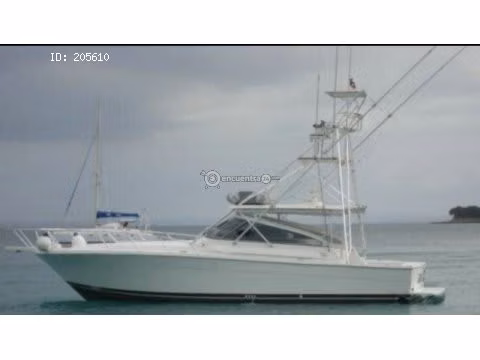 AVISTAMIENTOS DE BALLENAS, YATES,BARCOS DE EVENTOS/BARCAZAS CARGA