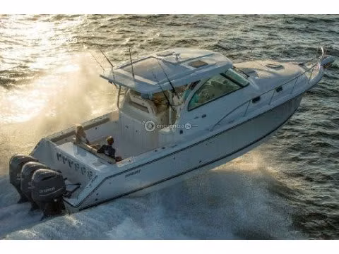 AVISTAMIENTOS DE BALLENAS, YATES,BARCOS DE EVENTOS/BARCAZAS CARGA