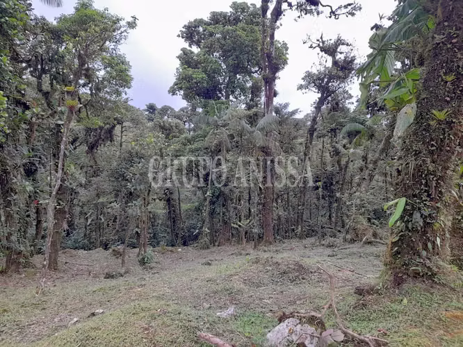 Oportunidad! Se Vende Terreno En Valle Bonito