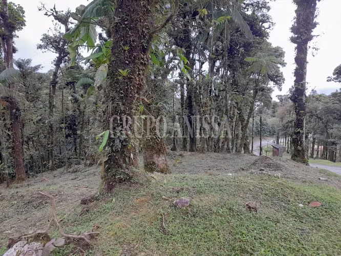 Oportunidad! Se Vende Terreno En Valle Bonito