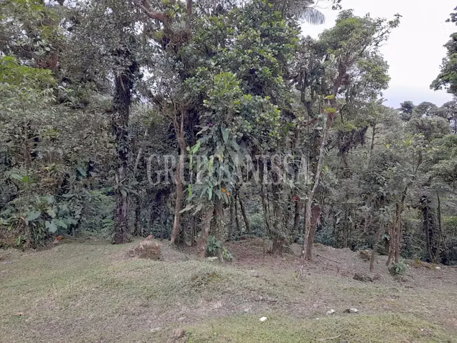 Oportunidad! Se Vende Terreno En Valle Bonito