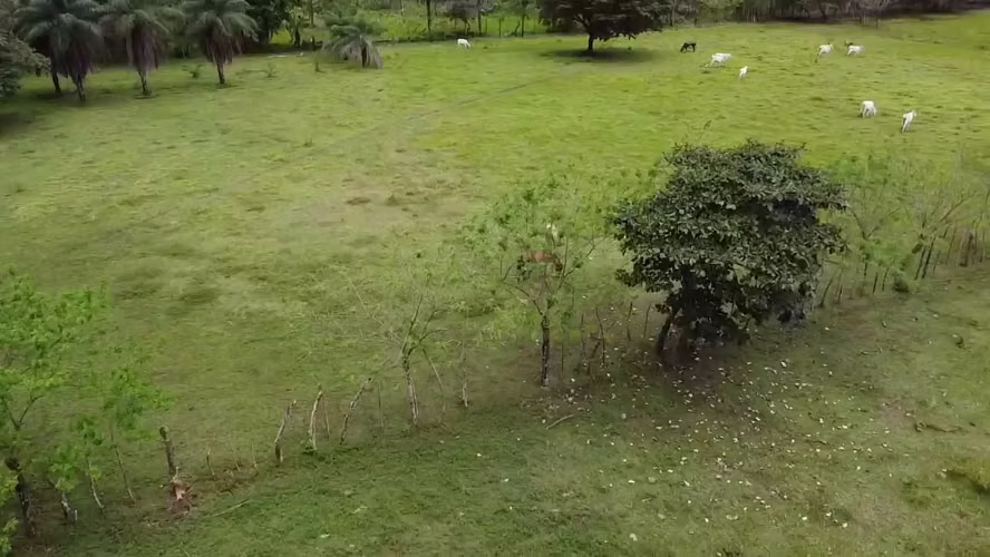 Venta de terreno en Chiriqui - David