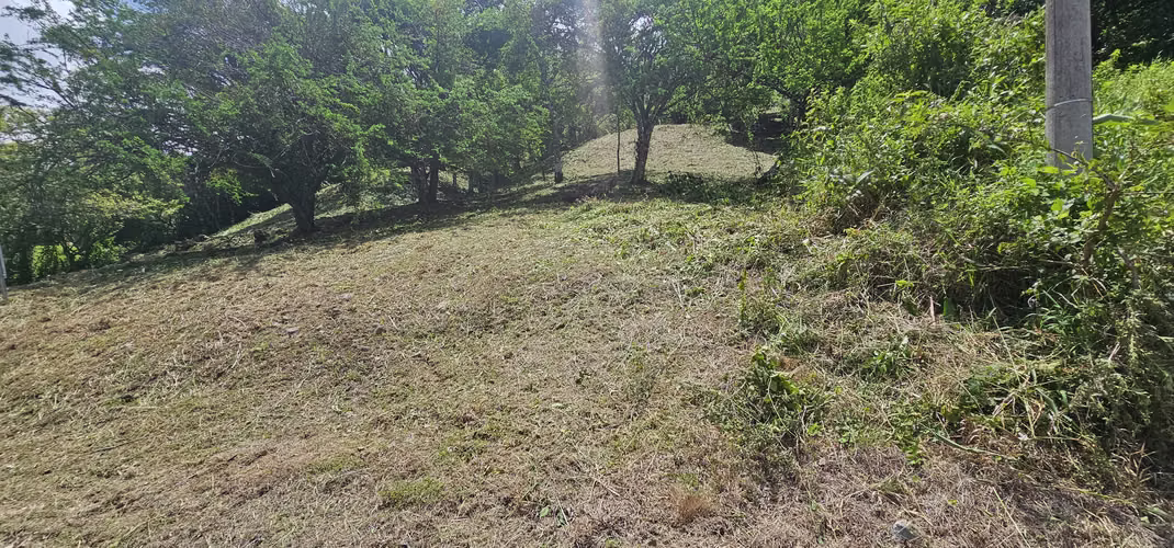 Se vende terreno en Altos del María de 3,005 mts 2 - Precio negociable