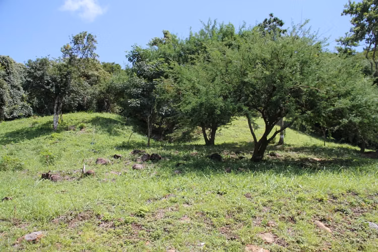Se vende terreno en Altos del María de 3,005 mts 2 - Precio negociable