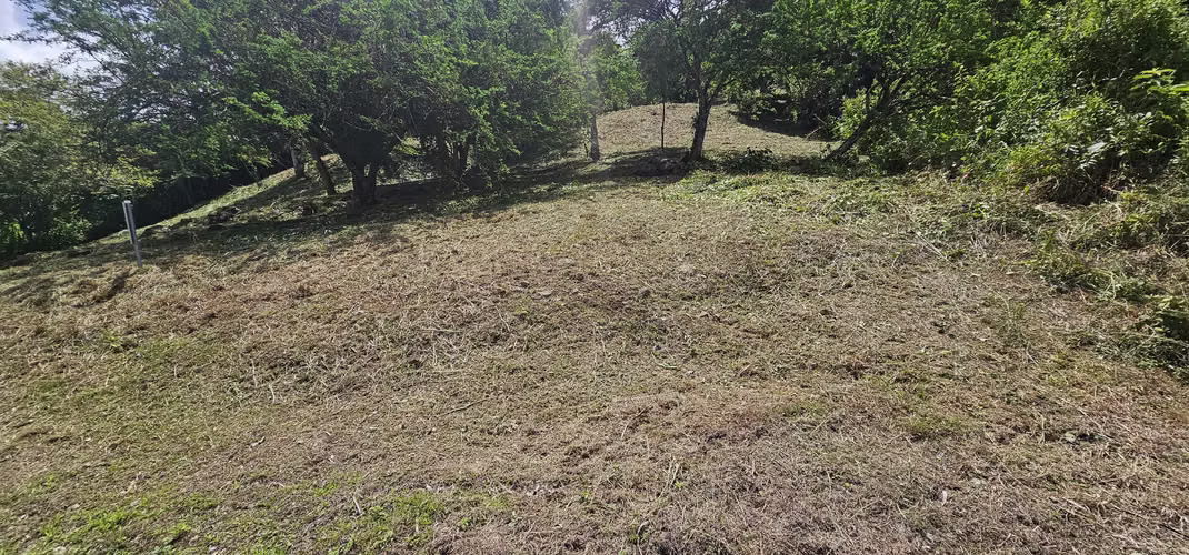 Se vende terreno en Altos del María de 3,005 mts 2 - Precio negociable