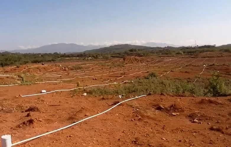 Venta de Finca en Calobre, Veraguas, 116 hectáreas - Imagen 5