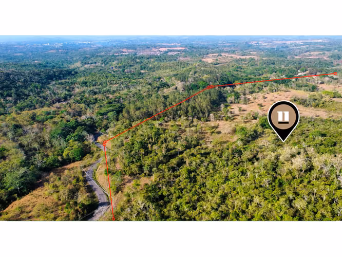 Se vende Terreno en La Chorrera de 150Has - Imagen 5