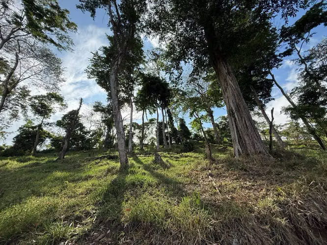 Terreno en Santa Puerto Armuelles