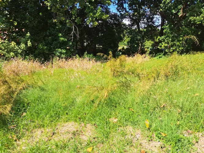 Lote #9 en Venta en Las Lajas, a 5 km de Coronado