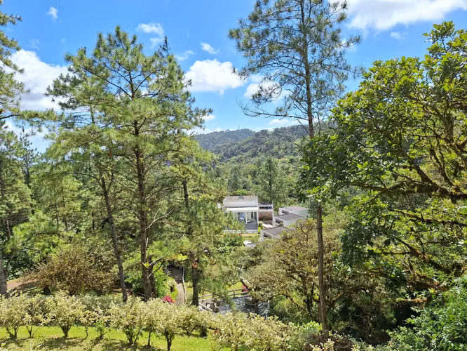 Se alquila  y se vende casa en Altos del María