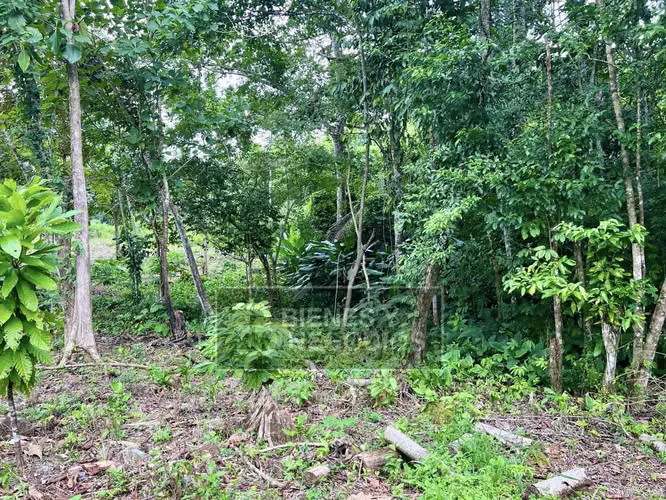 Terreno en Chiriqui, 1.2 hectareas, Bugaba, en Aserrio de Gariche - Imagen 4