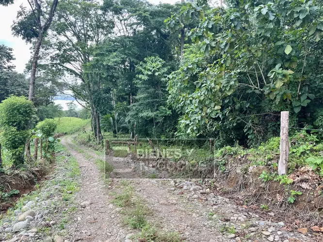 Country lots in Chiriqui, 3.08 Acres in Gariche, Bugaba