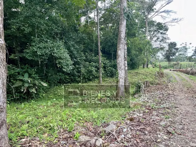 Terreno en Chiriqui, 1.2 hectareas, Bugaba, en Aserrio de Gariche - Imagen 3