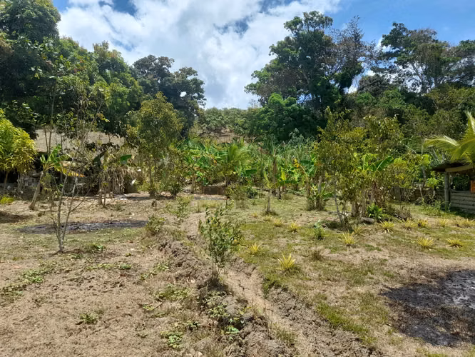 terreno en Maria Eugenia Chilibre - Imagen 3