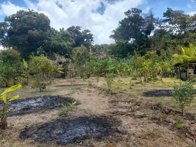 terreno en Maria Eugenia Chilibre - Imagen 2