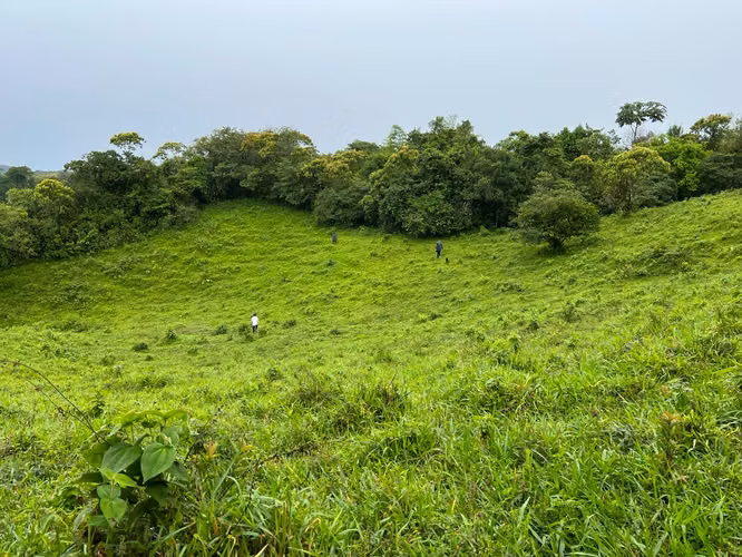 Finca en Chiriqui, Boqueron, Paraiso 61 hectáreas