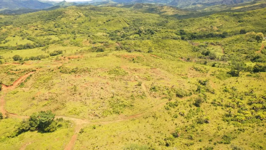 Venta de Finca en Natá, Coclé, 56 hectáreas - Imagen 6