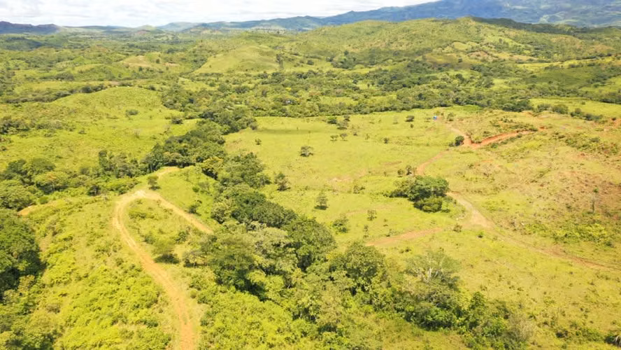 Venta de Finca en Natá, Coclé, 56 hectáreas - Imagen 2