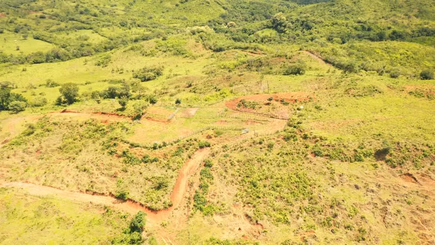 Venta de Finca en Natá, Coclé, 56 hectáreas - Imagen 8