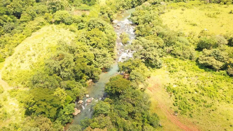 Venta de Finca en Natá, Coclé, 56 hectáreas - Imagen 3