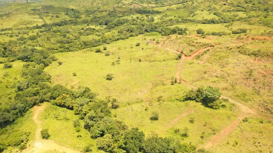 Venta de Finca en Natá, Coclé, 56 hectáreas - Imagen 13