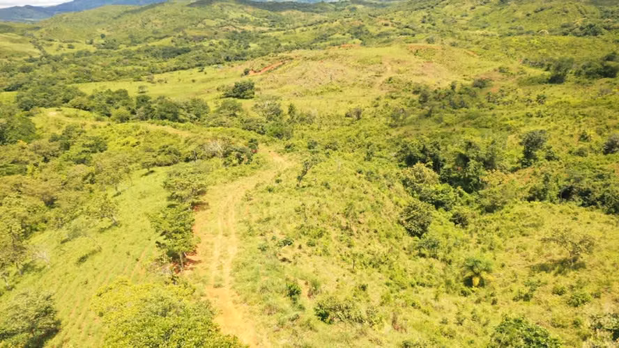 Venta de Finca en Natá, Coclé, 56 hectáreas - Imagen 10