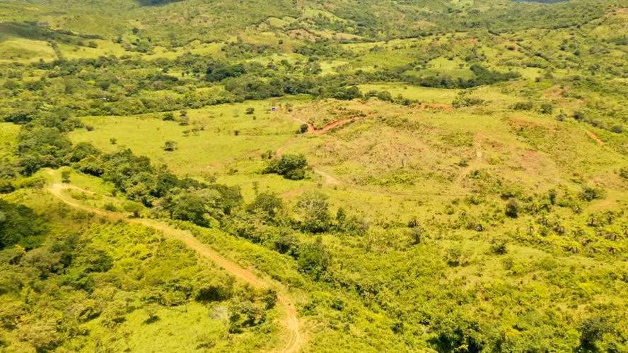 Venta de Finca en Natá, Coclé, 56 hectáreas - Imagen 9
