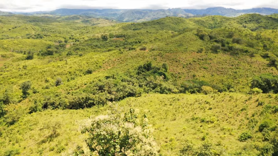 Venta de Finca en Natá, Coclé, 56 hectáreas - Imagen 5
