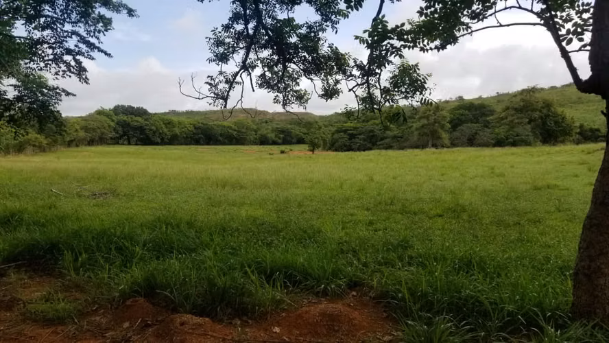 Farm for sale in El Cortezo de Natá, Cocle, 60 hectares