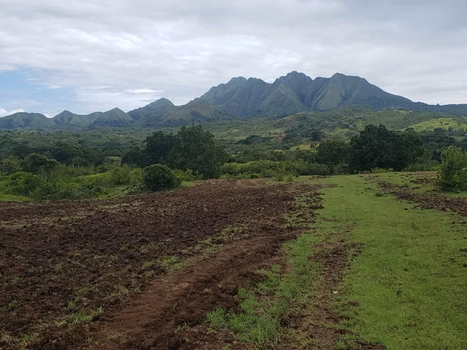 Venta de Finca en Olá, Coclé, 51 hectáreas