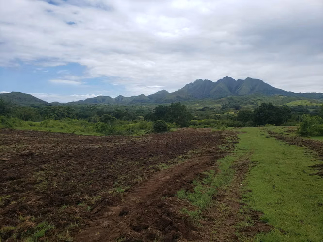 Venta de Finca en Olá, Coclé, 51 hectáreas